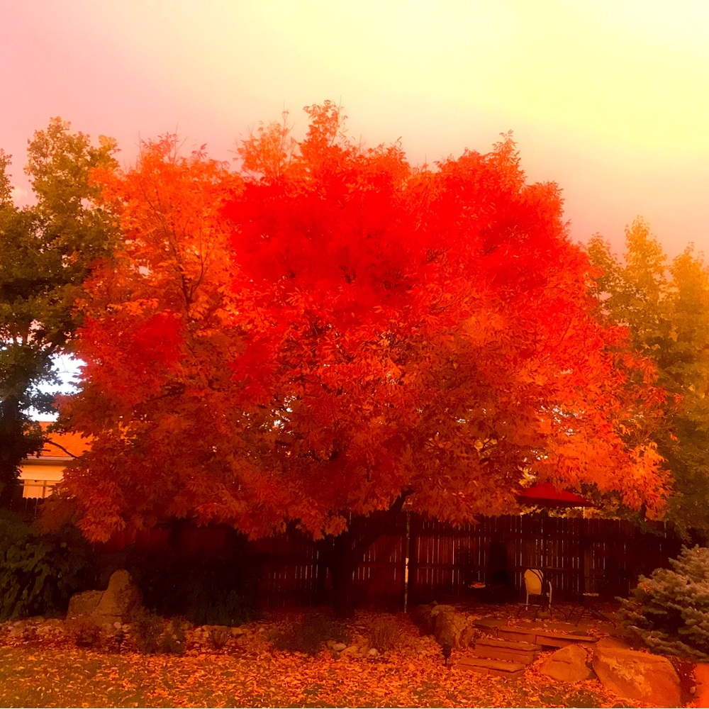 Meet your Posher, Lydia Cathryn’s daughter